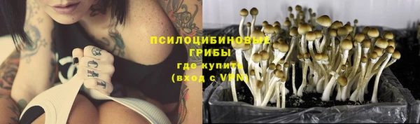 МДПВ Абаза