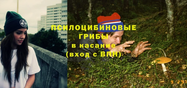 альфа пвп Заволжск