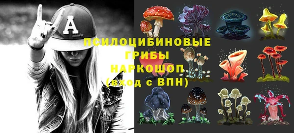 МДПВ Абаза