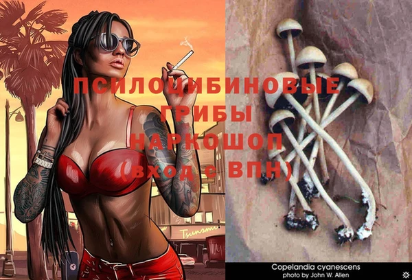 МДПВ Абаза